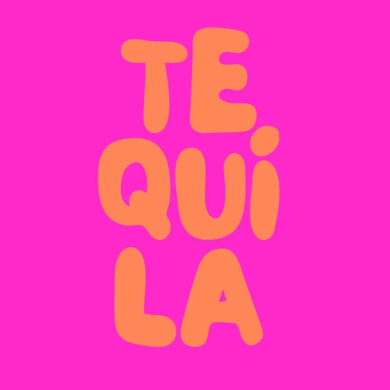 Tequila Punch Needle Pillow